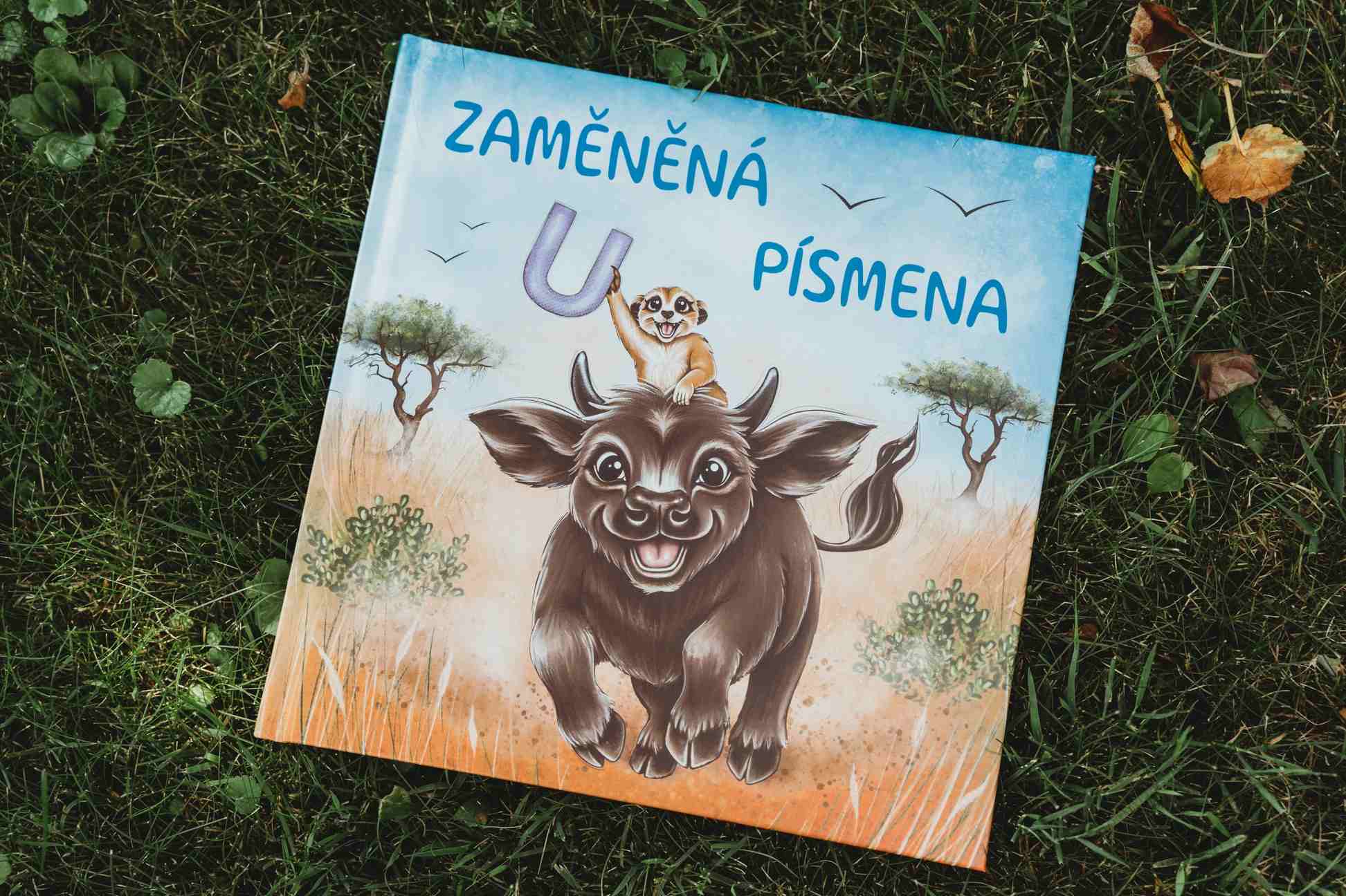 Kniha Zaměněná písmena