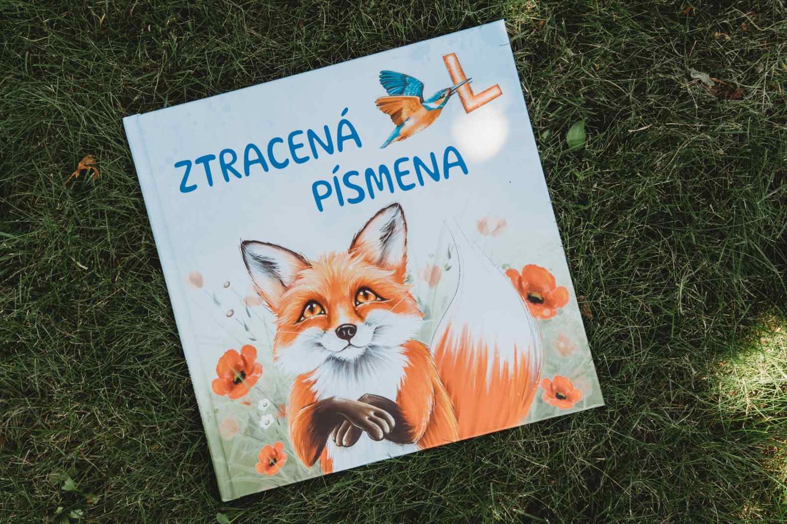 Kniha Ztracená písmena